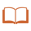 seer icon book