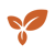 seer icon growth