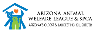 Organization